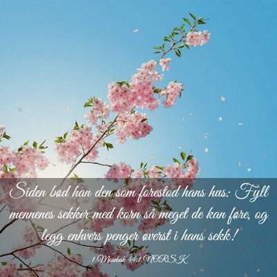 Picture 03 - 1 Mosebok 44:1 NORSK - Siden bød han den som forestod hans hus: Fyll - Bible Verse Picture