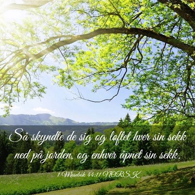 Picture 03 - 1 Mosebok 44:11 NORSK - Så skyndte de sig og løftet hver sin sekk ned - Bible Verse Picture
