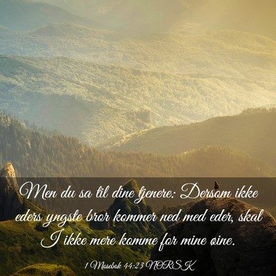 Picture 03 - 1 Mosebok 44:23 NORSK - Men du sa til dine tjenere: Dersom ikke eders - Bible Verse Picture