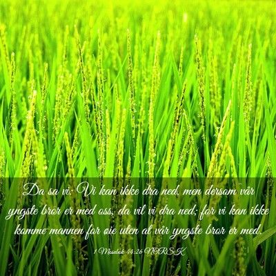 Picture 03 - 1 Mosebok 44:26 NORSK - Da sa vi: Vi kan ikke dra ned, men dersom vår - Bible Verse Picture