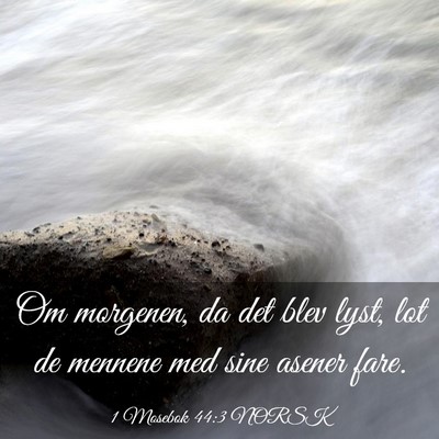 Picture 03 - 1 Mosebok 44:3 NORSK - Om morgenen, da det blev lyst, lot de mennene med - Bible Verse Picture