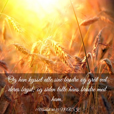 Picture 03 - 1 Mosebok 45:15 NORSK - Og han kysset alle sine brødre og gråt ved - Bible Verse Picture