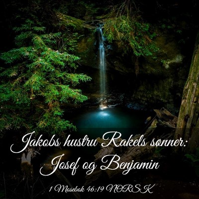 Picture 03 - 1 Mosebok 46:19 NORSK - Jakobs hustru Rakels sønner: Josef og - Bible Verse Picture
