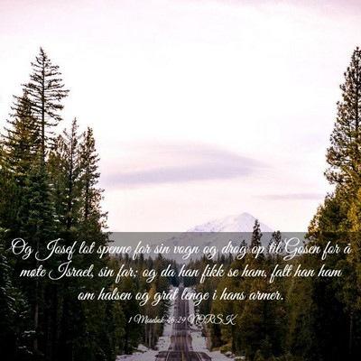 Picture 03 - 1 Mosebok 46:29 NORSK - Og Josef lot spenne for sin vogn og drog op til - Bible Verse Picture