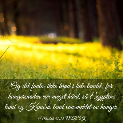 Picture 03 - 1 Mosebok 47:13 NORSK - Og det fantes ikke brød i hele landet; for - Bible Verse Picture