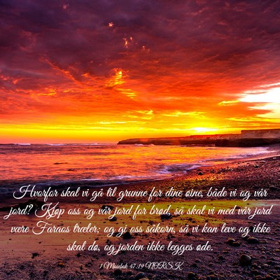 Picture 03 - 1 Mosebok 47:19 NORSK - Hvorfor skal vi gå til grunne for dine øine, - Bible Verse Picture