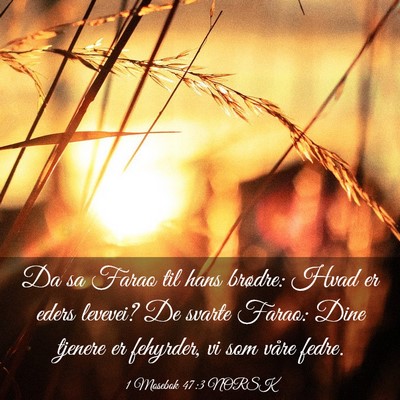 Picture 03 - 1 Mosebok 47:3 NORSK - Da sa Farao til hans brødre: Hvad er eders - Bible Verse Picture