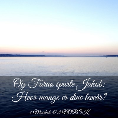 Picture 03 - 1 Mosebok 47:8 NORSK - Og Farao spurte Jakob: Hvor mange er dine - Bible Verse Picture