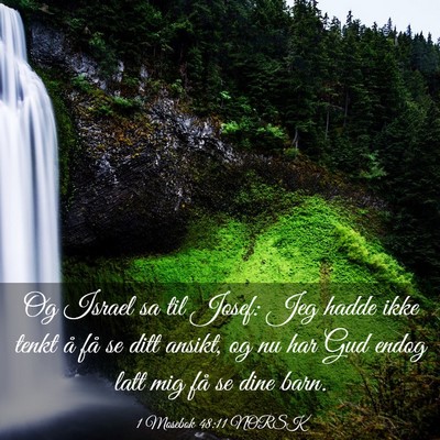 Picture 03 - 1 Mosebok 48:11 NORSK - Og Israel sa til Josef: Jeg hadde ikke tenkt å - Bible Verse Picture