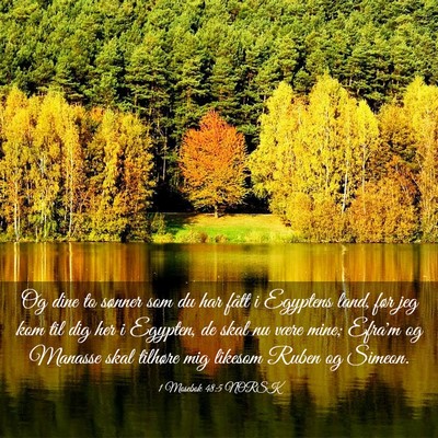 Picture 03 - 1 Mosebok 48:5 NORSK - Og dine to sønner som du har fått i Egyptens - Bible Verse Picture