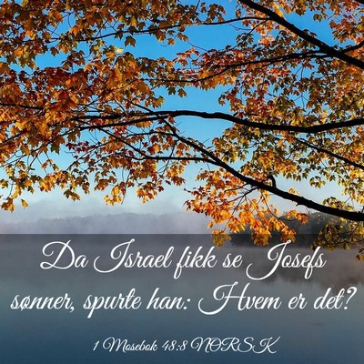 Picture 03 - 1 Mosebok 48:8 NORSK - Da Israel fikk se Josefs sønner, spurte han: - Bible Verse Picture