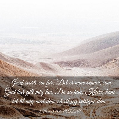 Picture 03 - 1 Mosebok 48:9 NORSK - Josef svarte sin far: Det er mine sønner, som - Bible Verse Picture