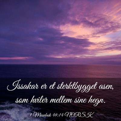 Picture 03 - 1 Mosebok 49:14 NORSK - Issakar er et sterktbygget asen, som hviler - Bible Verse Picture