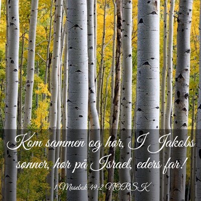 Picture 03 - 1 Mosebok 49:2 NORSK - Kom sammen og hør, I Jakobs sønner, hør på - Bible Verse Picture