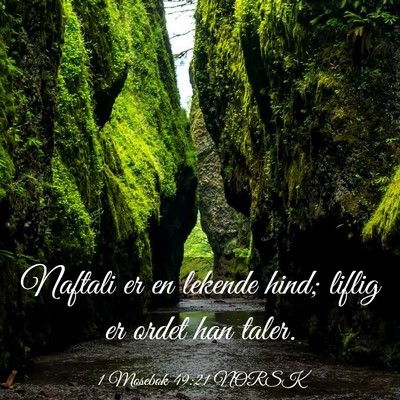 Picture 03 - 1 Mosebok 49:21 NORSK - Naftali er en lekende hind; liflig er ordet han - Bible Verse Picture
