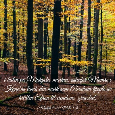 Picture 03 - 1 Mosebok 49:30 NORSK - i hulen på Makpela-marken, østenfor Mamre i - Bible Verse Picture