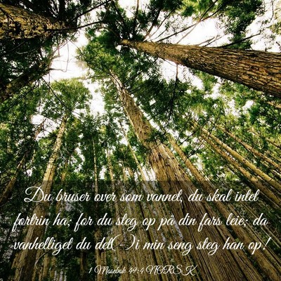 Picture 03 - 1 Mosebok 49:4 NORSK - Du bruser over som vannet, du skal intet fortrin - Bible Verse Picture