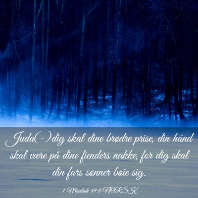 Picture 03 - 1 Mosebok 49:8 NORSK - Juda(-)dig skal dine brødre prise, din hånd - Bible Verse Picture