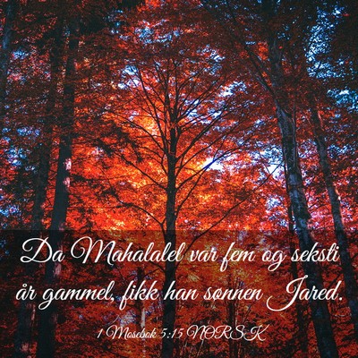 Picture 03 - 1 Mosebok 5:15 NORSK - Da Mahalalel var fem og seksti år gammel, fikk - Bible Verse Picture