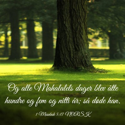 Picture 03 - 1 Mosebok 5:17 NORSK - Og alle Mahalalels dager blev åtte hundre og fem - Bible Verse Picture