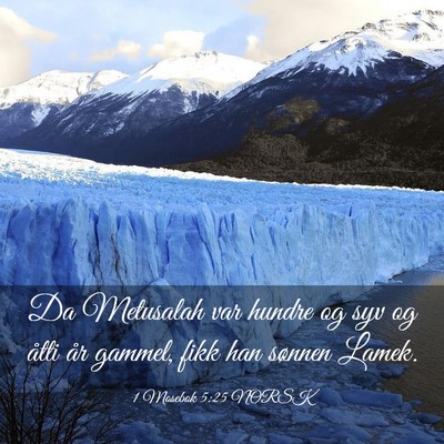Picture 03 - 1 Mosebok 5:25 NORSK - Da Metusalah var hundre og syv og åtti år - Bible Verse Picture