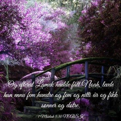Picture 03 - 1 Mosebok 5:30 NORSK - Og efterat Lamek hadde fått Noah, levde han ennu - Bible Verse Picture