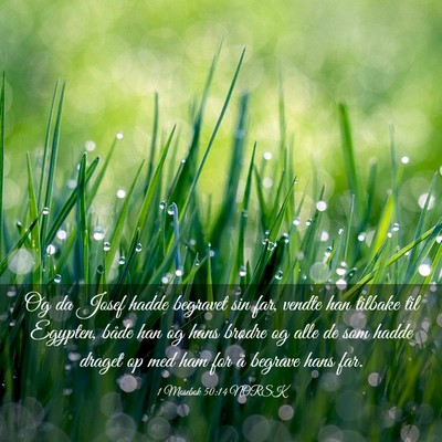 Picture 03 - 1 Mosebok 50:14 NORSK - Og da Josef hadde begravet sin far, vendte han - Bible Verse Picture