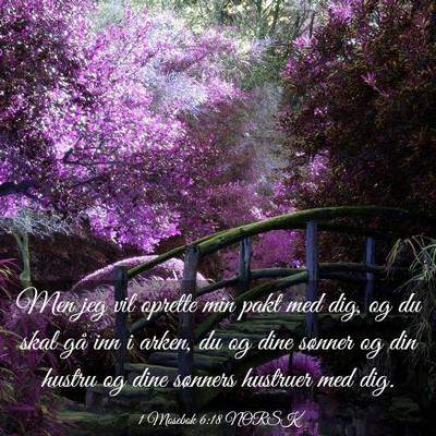 Picture 03 - 1 Mosebok 6:18 NORSK - Men jeg vil oprette min pakt med dig, og du skal - Bible Verse Picture