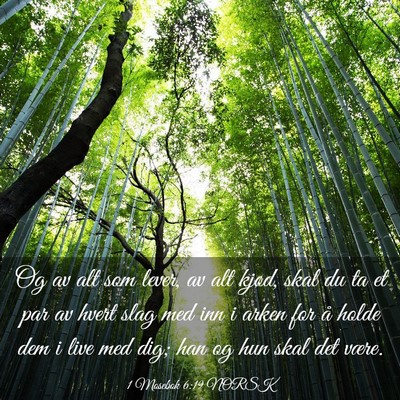 Picture 03 - 1 Mosebok 6:19 NORSK - Og av alt som lever, av alt kjød, skal du ta et - Bible Verse Picture