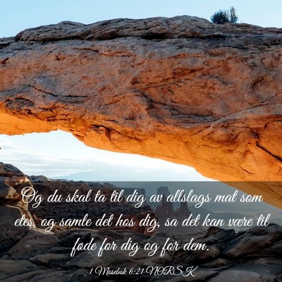 Picture 03 - 1 Mosebok 6:21 NORSK - Og du skal ta til dig av allslags mat som etes, - Bible Verse Picture