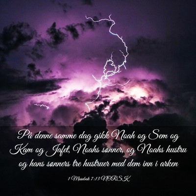 Picture 03 - 1 Mosebok 7:13 NORSK - På denne samme dag gikk Noah og Sem og Kam og - Bible Verse Picture