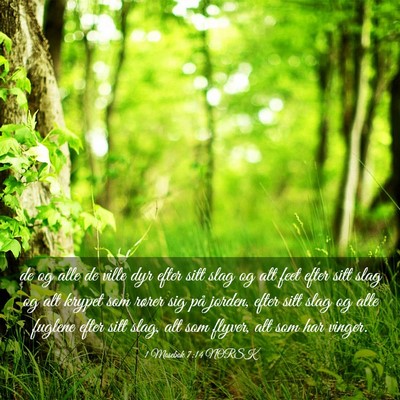 Picture 03 - 1 Mosebok 7:14 NORSK - de og alle de ville dyr efter sitt slag og alt - Bible Verse Picture