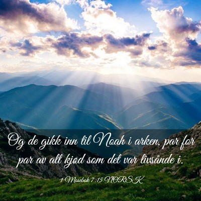 Picture 03 - 1 Mosebok 7:15 NORSK - Og de gikk inn til Noah i arken, par for par av - Bible Verse Picture