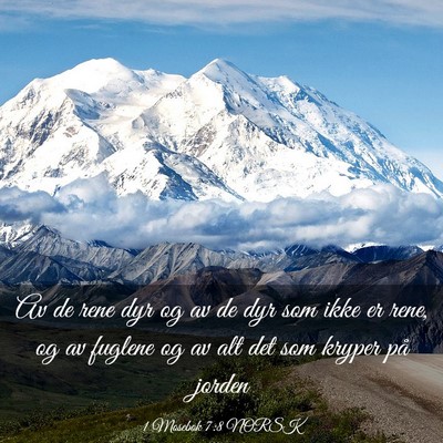 Picture 03 - 1 Mosebok 7:8 NORSK - Av de rene dyr og av de dyr som ikke er rene, og - Bible Verse Picture
