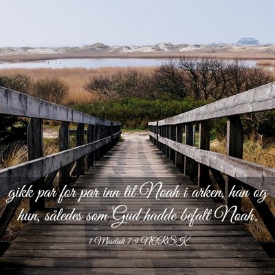 Picture 03 - 1 Mosebok 7:9 NORSK - gikk par for par inn til Noah i arken, han og - Bible Verse Picture