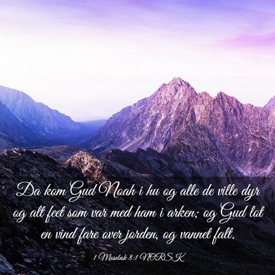 Picture 03 - 1 Mosebok 8:1 NORSK - Da kom Gud Noah i hu og alle de ville dyr og alt - Bible Verse Picture