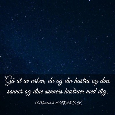 Picture 03 - 1 Mosebok 8:16 NORSK - Gå ut av arken, du og din hustru og dine sønner - Bible Verse Picture