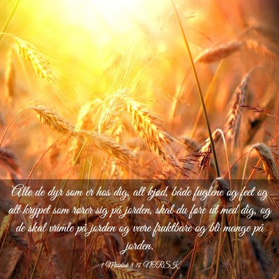 Picture 03 - 1 Mosebok 8:17 NORSK - Alle de dyr som er hos dig, alt kjød, både - Bible Verse Picture