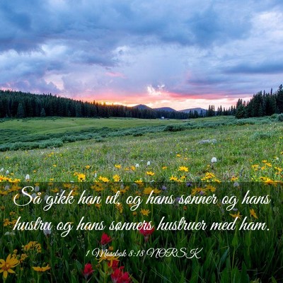 Picture 03 - 1 Mosebok 8:18 NORSK - Så gikk han ut, og hans sønner og hans hustru - Bible Verse Picture