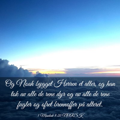 Picture 03 - 1 Mosebok 8:20 NORSK - Og Noah bygget Herren et alter, og han tok av - Bible Verse Picture