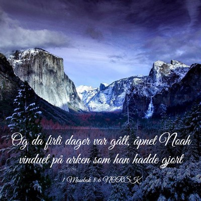 Picture 03 - 1 Mosebok 8:6 NORSK - Og da firti dager var gått, åpnet Noah vinduet - Bible Verse Picture