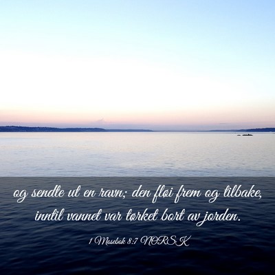 Picture 03 - 1 Mosebok 8:7 NORSK - og sendte ut en ravn; den fløi frem og tilbake, - Bible Verse Picture