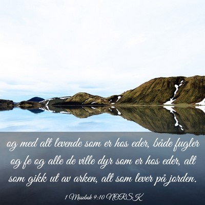 Picture 03 - 1 Mosebok 9:10 NORSK - og med alt levende som er hos eder, både fugler - Bible Verse Picture