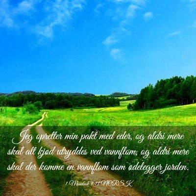 Picture 03 - 1 Mosebok 9:11 NORSK - Jeg opretter min pakt med eder, og aldri mere - Bible Verse Picture