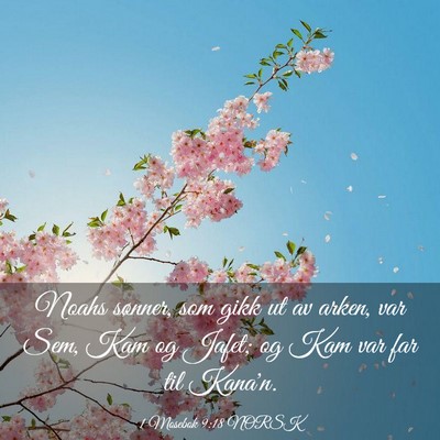 Picture 03 - 1 Mosebok 9:18 NORSK - Noahs sønner, som gikk ut av arken, var Sem, Kam - Bible Verse Picture