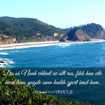 Picture 03 - 1 Mosebok 9:24 NORSK - Da så Noah våknet av sitt rus, fikk han vite - Bible Verse Picture