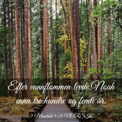 Picture 03 - 1 Mosebok 9:28 NORSK - Efter vannflommen levde Noah ennu tre hundre og - Bible Verse Picture