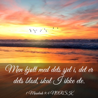 Picture 03 - 1 Mosebok 9:4 NORSK - Men kjøtt med dets sjel i, det er dets blod, - Bible Verse Picture