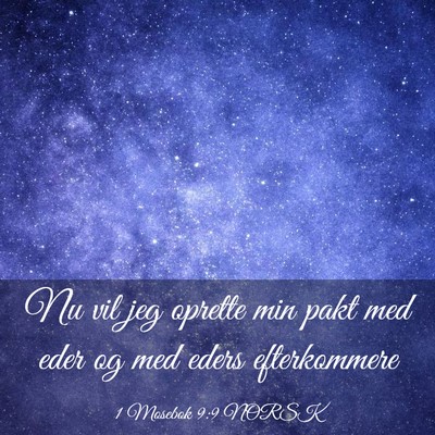 Picture 03 - 1 Mosebok 9:9 NORSK - Nu vil jeg oprette min pakt med eder og med eders - Bible Verse Picture