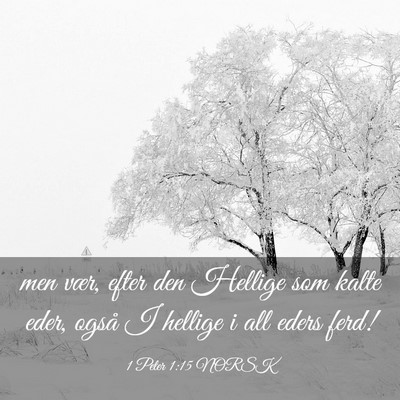 Picture 03 - 1 Peter 1:15 NORSK - men vær, efter den Hellige som kalte eder, også - Bible Verse Picture